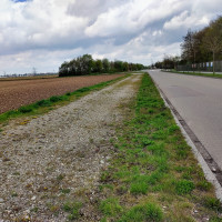 Kirchheimerallee (Blickrichtung neuer Kreisverkehr)