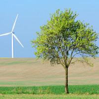 Windrad mit Baum