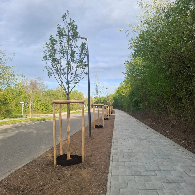 Neuer Radweg in der Kirchheimer Allee